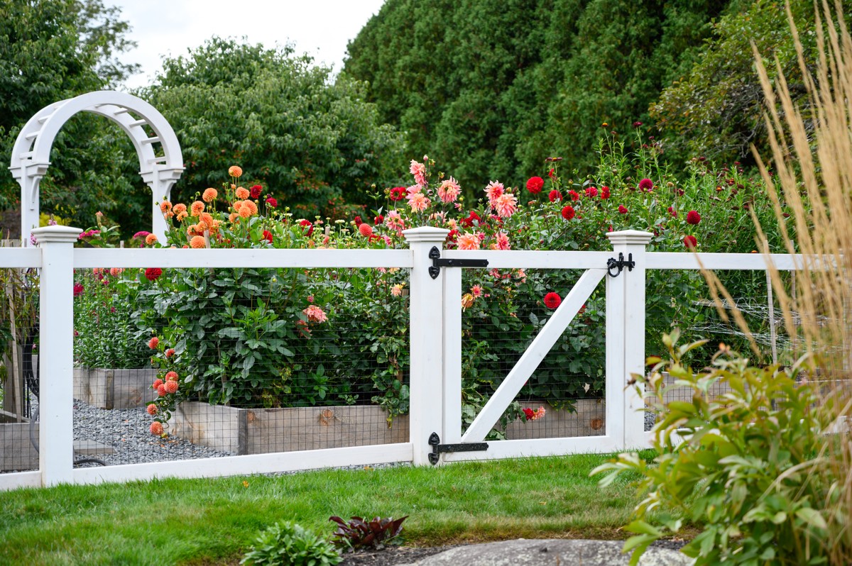 Wood and wire rigid garden fence