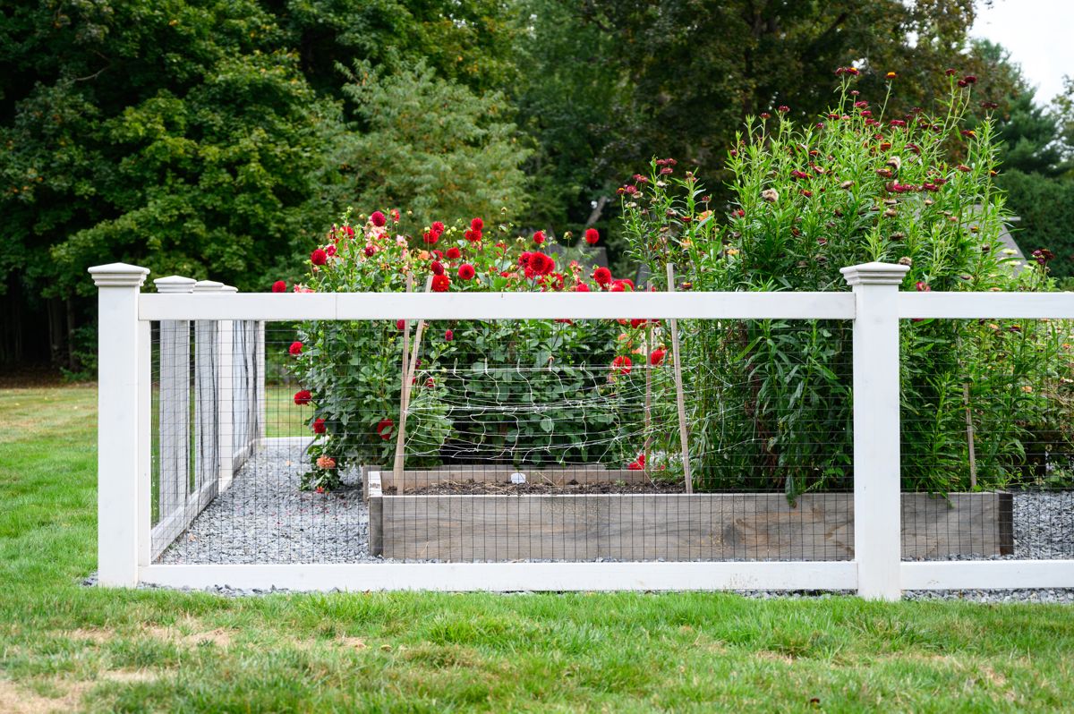 Wood and wire rigid garden fence