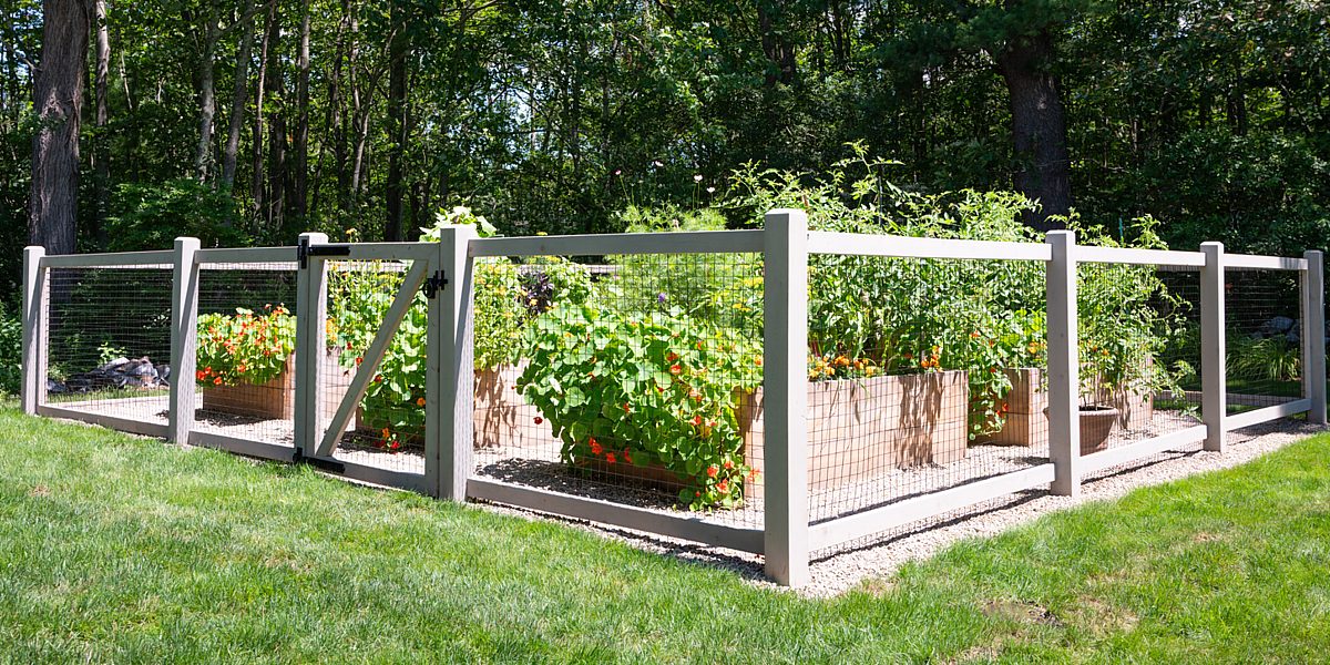 Wood and wire butted garden fence