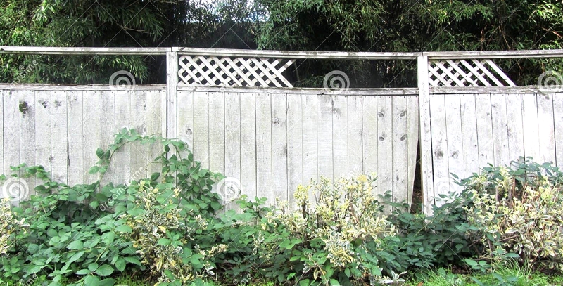 Lattice top fence repair
