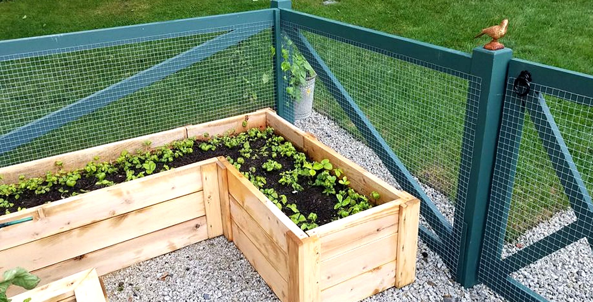 Wood and wire rigid garden fence